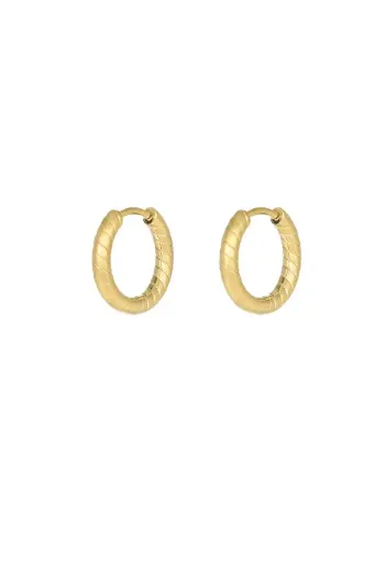 refined relief oorbellen goud per paar